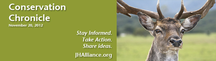 WildNeighborhoodsAmeriCorpsBanner